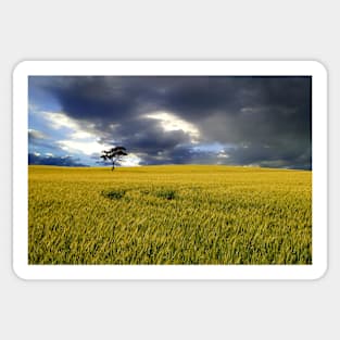 Stormy Australian Rural Landscape Sticker